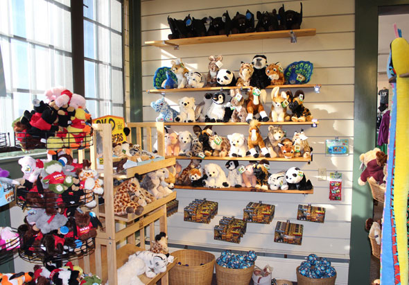 hc-web-header-inset-gift-3